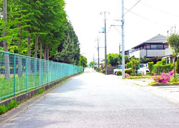 道路,町,屋外,春,晴れ