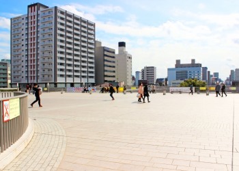 建物前,屋外,春,晴れ