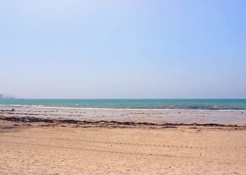 浜辺,町,屋外,春,晴れ