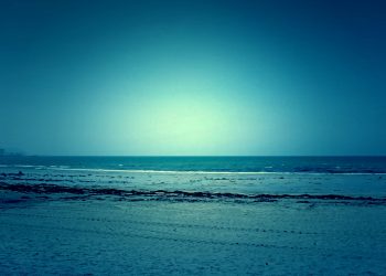 浜辺,町,屋外,春,晴れ,ホラー