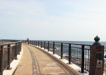 浜辺,春,屋外,晴れ
