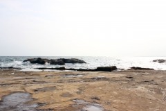 浜辺,夏,屋外,曇り