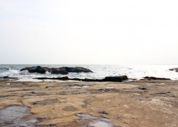 浜辺,夏,屋外,曇り