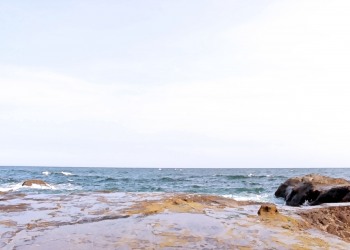 浜辺,アウトドア,晴れ,屋外,夏