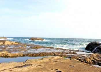 浜辺,アウトドア,晴れ,屋外,夏
