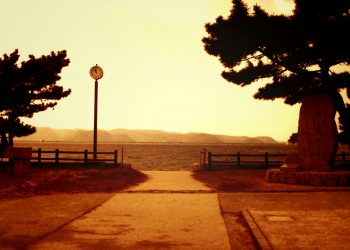 浜辺,漁村,屋外,夏,晴れ,ヴィンテージ
