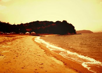 浜辺,漁村,屋外,夏,晴れ,ヴィンテージ