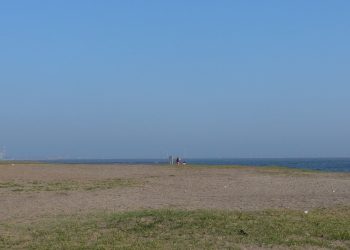 浜辺,晴れ,夏,屋外