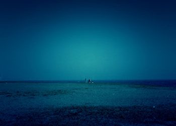 浜辺,晴れ,夏,屋外,ホラー