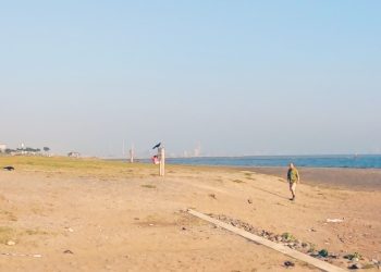 浜辺,晴れ,夏,屋外