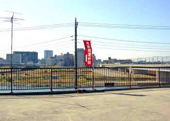 川,都市, 屋外,秋,晴れ