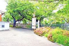 川,町,夏,屋外,曇り