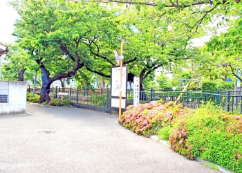 川,町,夏,屋外,曇り