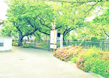 川,町,夏,屋外,曇り,昭和レトロ