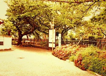 川,町,夏,屋外,曇り,ヴィンテージ