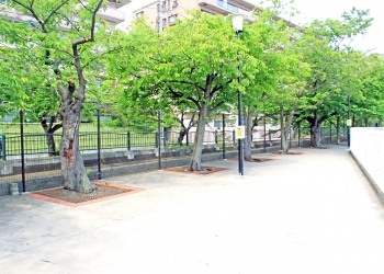 川,町,夏,屋外,曇り