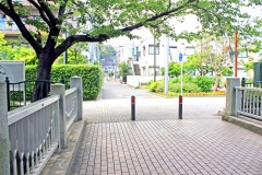 川,町,夏,屋外,曇り