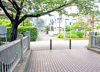 川,町,夏,屋外,曇り