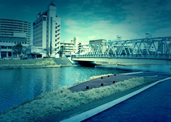 日本庭園,屋外,秋,曇り,ホラー