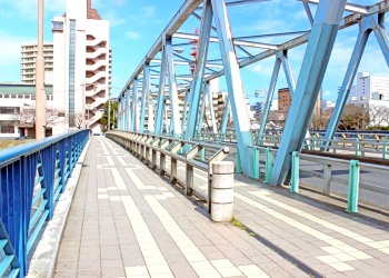 橋,町,屋外,秋,晴れ