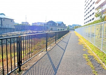 川,橋,町,屋外,春,晴れ