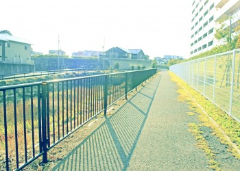 川,橋,町,屋外,春,晴れ,昭和レトロ