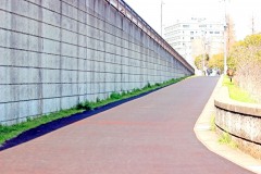 道路,町,屋外,春,晴れ