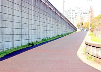 道路,町,屋外,春,晴れ