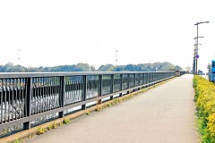 川,橋,町,屋外,春,晴れ