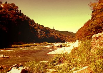 川,アウトドア,屋外,夏,ヴィンテージ