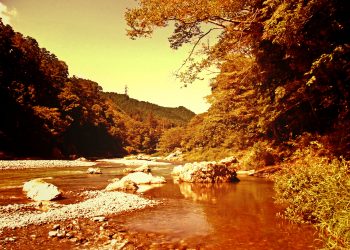 川,アウトドア,屋外,夏,ヴィンテージ