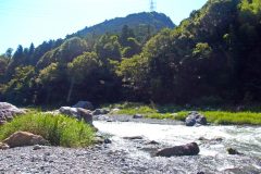 川,アウトドア,屋外,夏