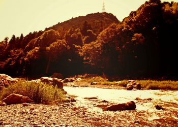 川,アウトドア,屋外,夏,ヴィンテージ