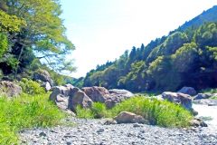 川,アウトドア,屋外,夏