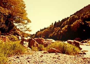 川,アウトドア,屋外,夏,ヴィンテージ