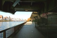 川,街,橋,屋外,夏,晴れ