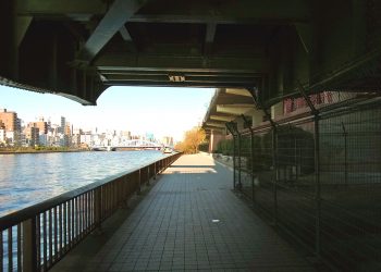川,街,橋,屋外,夏,晴れ