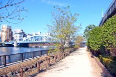 川,橋,都会,屋外,春,晴れ