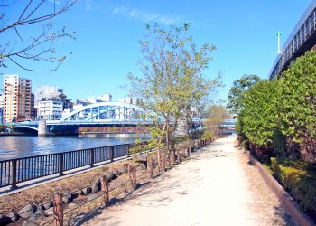 川,橋,都会,屋外,春,晴れ