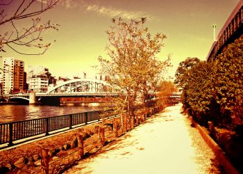 川,橋,都会,屋外,春,晴れ,ヴィンテージ