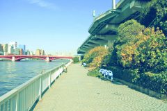 川,橋,都会,屋外,春,晴れ