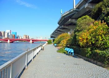 川,橋,都会,屋外,春,晴れ