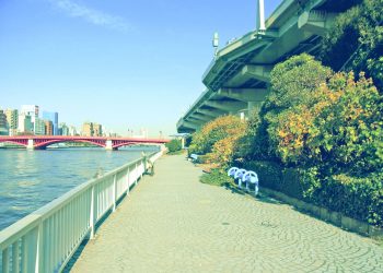 川,橋,都会,屋外,春,晴れ,昭和レトロ