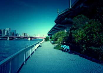 川,橋,都会,屋外,春,晴れ,ホラー