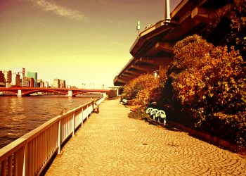 川,橋,都会,屋外,春,晴れ,ヴィンテージ