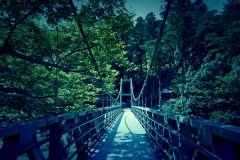 橋,村,屋外,夏,晴れ