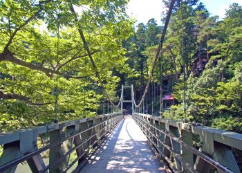 橋,村,屋外,夏,晴れ