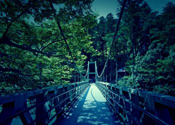 橋,村,屋外,夏,晴れ,ホラー