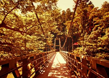 橋,村,屋外,夏,晴れ,ヴィンテージ