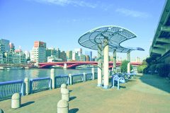 川,都会,屋外,春,晴れ